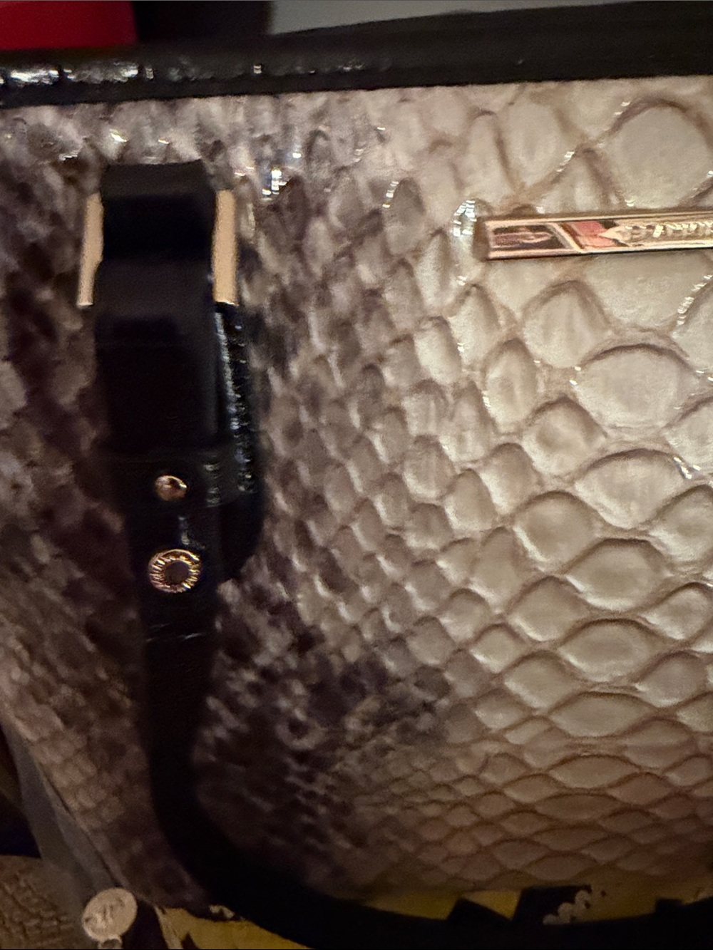 Brahmin Python-Print Tote Bag in Neutral/Black - Picture 11 of 16